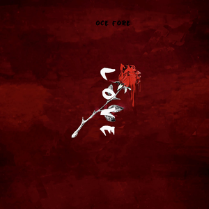 欧美成人四级HD版
